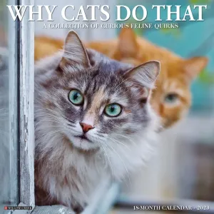 Why Cats Do That Just 2023 Wall Calendar