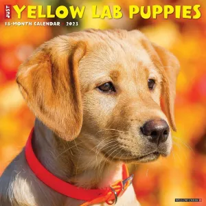 Yellow Lab Puppies 2023 Wall Calendar