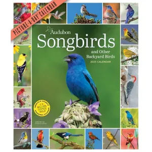 Audubon 365 Songbirds 2023 Wall Calendar