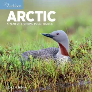 Audubon Arctic 2023 Wall Calendar