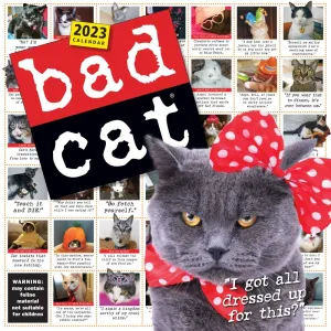 Bad Cat 365 Days 2023 Wall Calendar