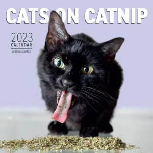 Cats on Catnip 2023 Wall Calendar