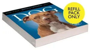Dog Page-A-Day Gallery Calendar 2023 Refill Pack