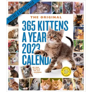 Kittens 365 Days 2023 Wall Calendar