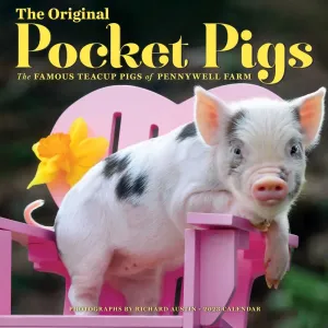 Pocket Pigs Pennywell Farm 2023 Wall Calendar