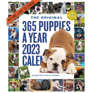 Puppies 365 Days 2023 Wall Calendar