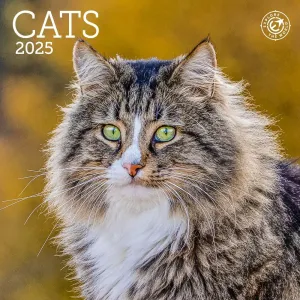 Cats 2025 Mini Wall Calendar #1290754