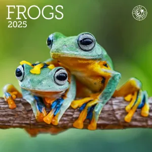 Frogs 2025 Mini Wall Calendar