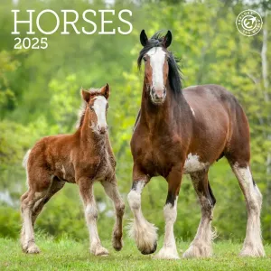 Horses 2025 Mini Wall Calendar