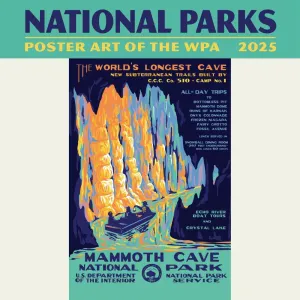 National Parks Poster Art 2025 Mini Wall Calendar