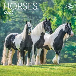Horses 2023 Mini Wall Calendar