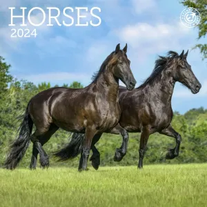 Horses 2024 Mini Wall Calendar #897761