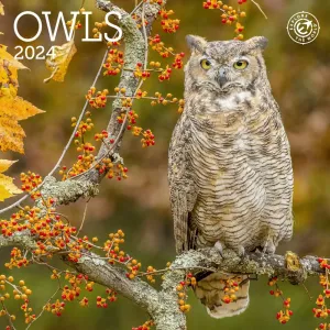 Owls 2024 Mini Wall Calendar #897838