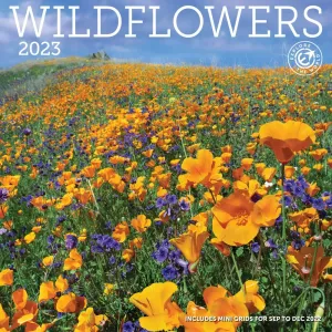 Wildflowers 2023 Wall Calendar #14090